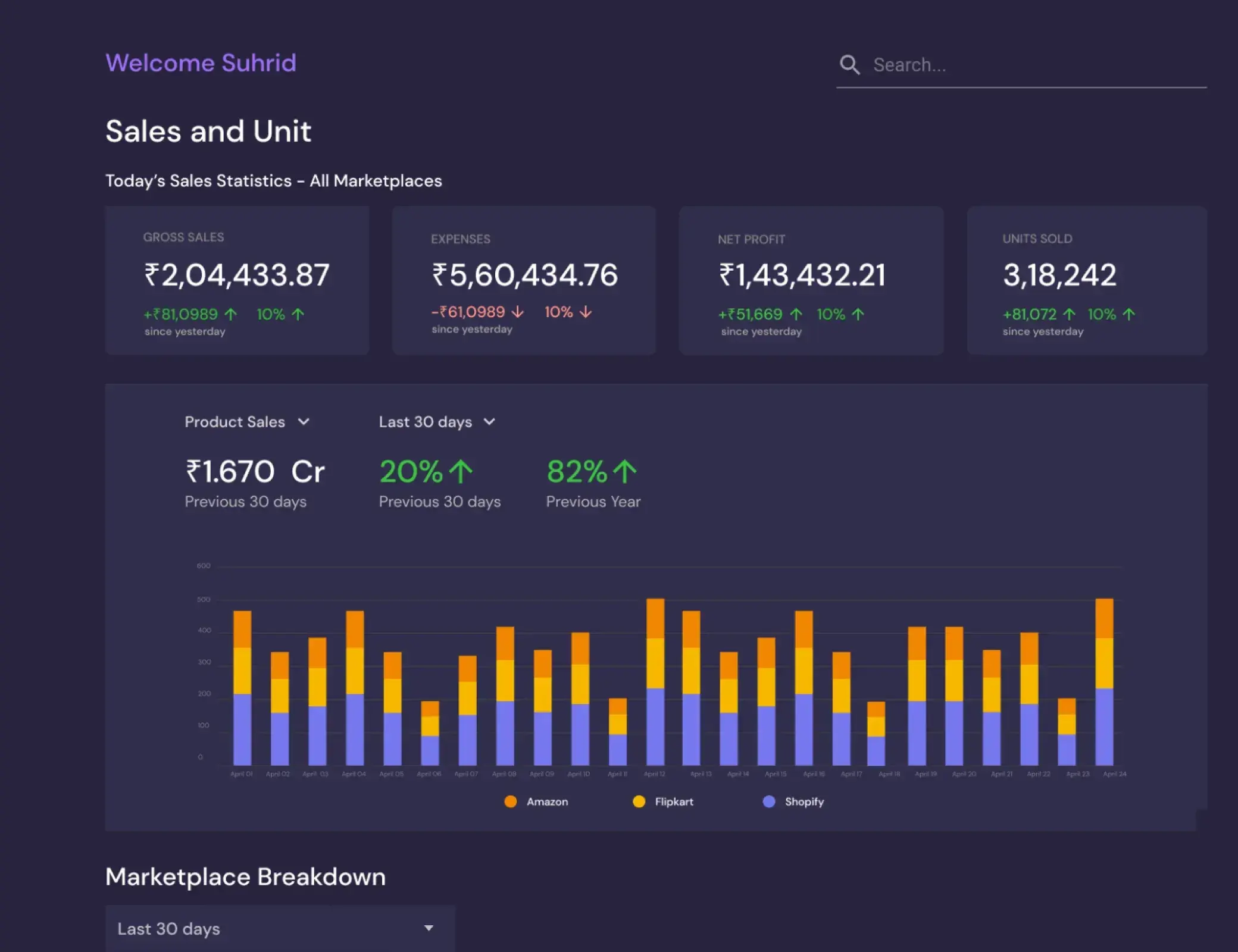 EcommPulse sales and units overview with gross sales, expenses, net profit and units across marketplaces